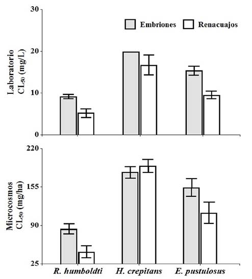 Comparación
de la concentración letal media (CL50)
entre los embriones y renacuajos expuestos al Propanil
(Propanil Trust®
500EC) bajo condiciones de laboratorio y microcosmos. Las barras
de error representan los intervalos de confianza al 95 %