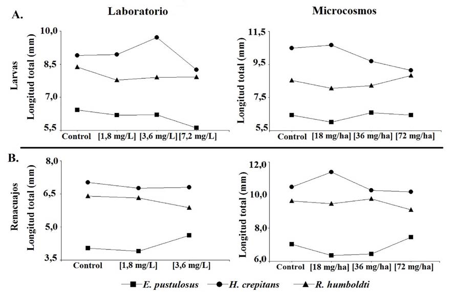 Valor
promedio de la longitud total de las larvas (A), y de los renacuajos (B), a las
96 horas de exposición al herbicida Propanil (Propanil Trust® 500EC)
bajo condiciones de laboratorio y microcosmos