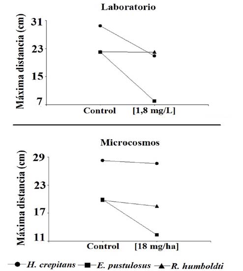 Valor
promedio de la máxima distancia de natación de los renacuajos sobrevivientes a
la exposición del herbicida Propanil (Propanil Trust® 500EC)
bajo condiciones de laboratorio y microcosmos