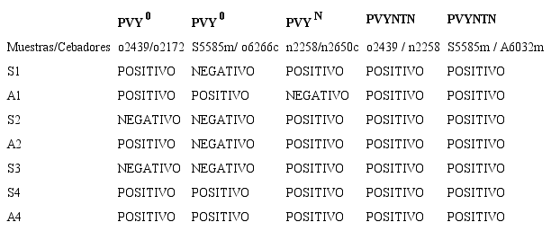Resultados de amplificación por RT-PCR con cebadores específicos para la identificación de tres cepas de PVY, en muestras de ARN de tejido foliar de plantas de S. tuberosum procedentes del oriente de Antioquia (Colombia).