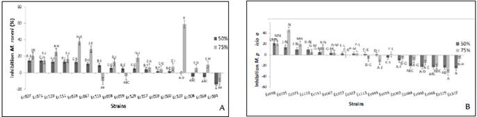 Effect of endophytic fungi metabolites on the micelial growth: A.M. roreri and B.M. perniciosa. Crude extracts of the metabolites from liquid Czapeck medium at 25&deg; C &plusmn; 2 for 21 days. Negative values indicate stimulation of the pathogen respects to the control (PDA without the metabolites). Different letters indicate significant differences (p <0.01).