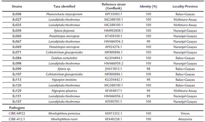 Origin and taxa identified in this study according to closest hits in the GenBank.