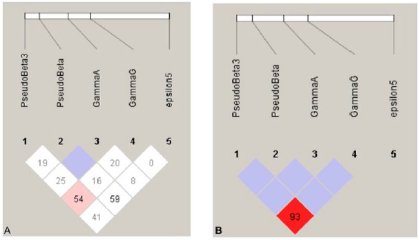 Desequilibrio de ligamiento entre sitios de restricci&oacute;n. La intensidad del color indica la fuerza del LD, es decir los cuadros blancos indican ausencia de LD, los cuadros violetas indican un LD intermedio (LOD < 2), los cuadros rojos brillantes indican un fuerte valor de LD (LOD> 2). La barra de arriba muestra la posici&oacute;n relativa de los sitios de restricci&oacute;n. La figura A muestra el grado de desequilibrio entre los sitios de restricci&oacute;n evaluados en los 83 individuos estudiados. Se puede observar el bajo o nulo nivel de desequilibrio. La figura B muestra el grado de desequilibrio de ligamiento solamente tomando en cuenta los 34 individuos que ten&iacute;an haplotipos t&iacute;picos para HbS.