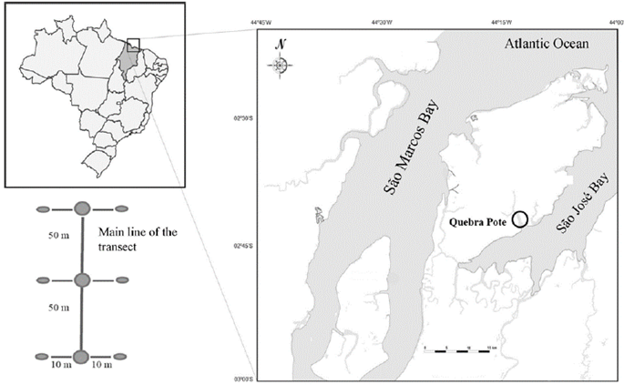 Map of the study area-Quebra Pote, Maranh&atilde;o.