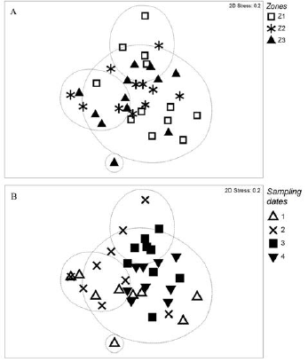 Ordination of mesolittoral zones in the Quebra Pote mangrove in Maranh&atilde;o obtained from the MDS analysis and according to the similarity of Bray-Curtis.