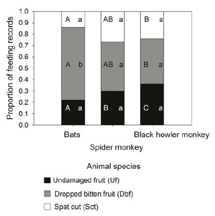 Seed handling in tropical forest of Peninsula of Yucatan, produced by bats and spider monkey (A. geoffroyi) and black holder monkey (A. pigra). Different capital letters indicate significant differences among primate species and bats, and different lowercase letters indicate differences among seed handling categories within each animal disperser (pairwise contrast LSD, p<0.05).