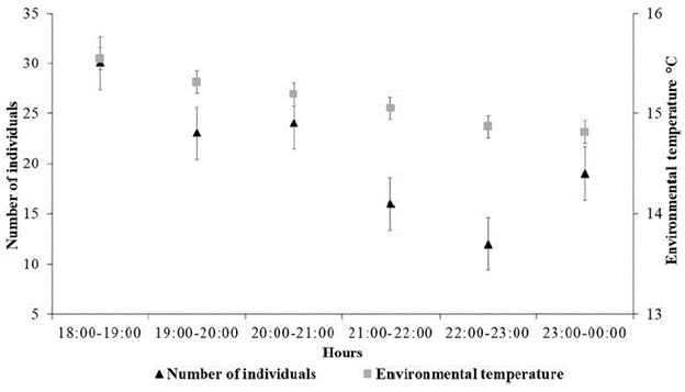 Number of individuals (of bats) captured by hour of the night and air temperature in the BFR.
