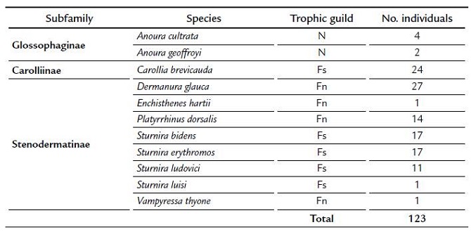 Understory bat species and number of individuals caught in the BFR. N: nectarivore, Fn: nomadic frugivore, Fs: sedentary frugivore.