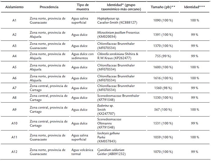 Descripci&oacute;n de doce cepas aisladas, purificadas y almacenadas en una colecci&oacute;n de microalgas del CIB-ITCR, as&iacute; como la identidad obtenida mediante comparaci&oacute;n BLASTN de sus secuencias ADNr 18S.