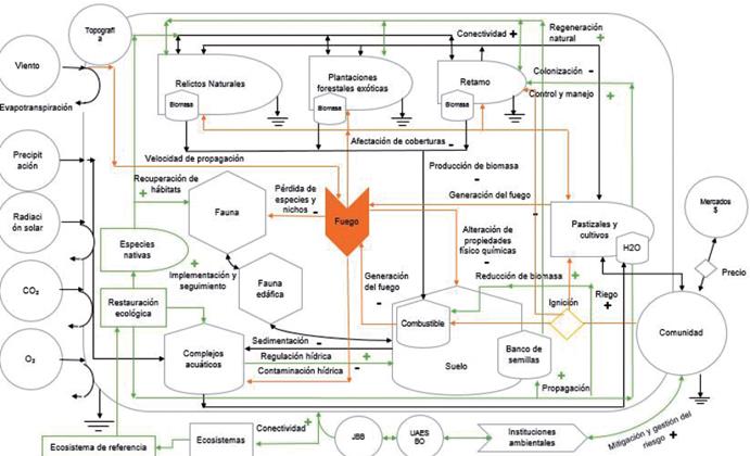 Modelo implementación de restauración ecológica en escenarios de incendios forestales e invasión de especies exóticas en los Cerros Orientales de Bogotá D.C.