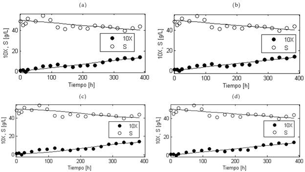 Resultados del modelamiento matem&aacute;tico de las concentraciones de biomasa celular (X) y sustrato (S) para el cultivo sumergido a nivel de banco de G. diazotrophicus en un medio a base de melaza de ca&ntilde;a. Las curvas de crecimiento celular y de az&uacute;cares totales calculadas por cada modelo se muestran en l&iacute;neas continuas; las mediciones de concentraci&oacute;n de biomasa y de sustrato se representan con c&iacute;rculos. Los valores de concentraci&oacute;n de biomasa celular est&aacute;n multiplicados por 10. (a) Modelo de Pirt-Contois. (b) Modelo de Herbert-Pirt-Contois con ms = 0. (c) Modelo de Herbert-Pirt-Monod. (d) Modelo de Herbert-Pirt-Contois.