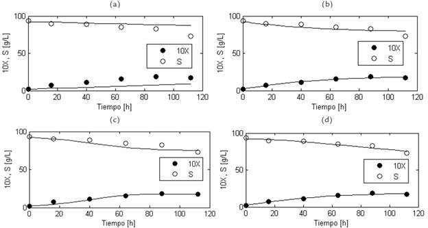 Resultados del modelamiento matem&aacute;tico de las concentraciones de biomasa celular (X) y sustrato (S) para el cultivo sumergido a nivel de banco de G. diazotrophicus en un medio a base de sacarosa. Las curvas de crecimiento celular y de az&uacute;cares totales calculadas por cada modelo se muestran en l&iacute;neas continuas; las mediciones de concentraci&oacute;n de biomasa y de sustrato se representan con c&iacute;rculos. Los valores de concentraci&oacute;n de biomasa celular est&aacute;n multiplicados por 10. (a) Modelo de Pirt-Contois. (b) Modelo de Herbert-Pirt-Contois con ms = 0. (c) Modelo de Herbert-Pirt-Monod. (d) Modelo de Herbert-Pirt-Contois.