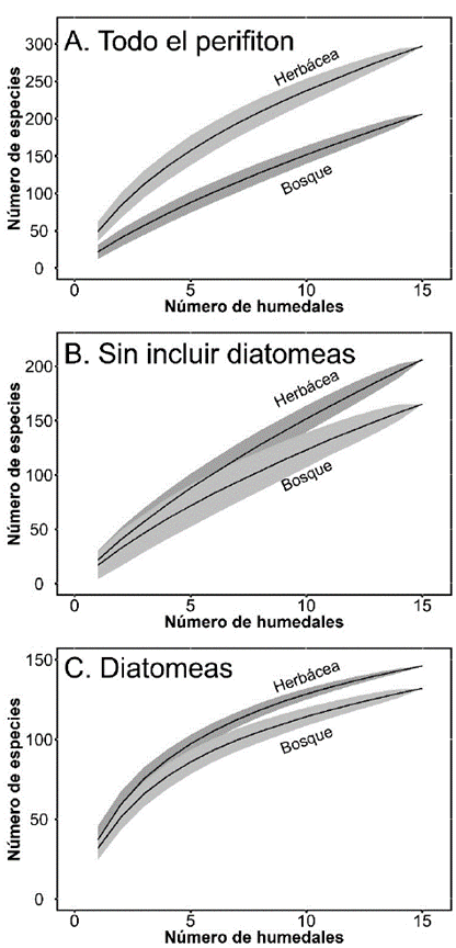 Curvas de acumulación de especies para los dos tipos de cobertura vegetal.