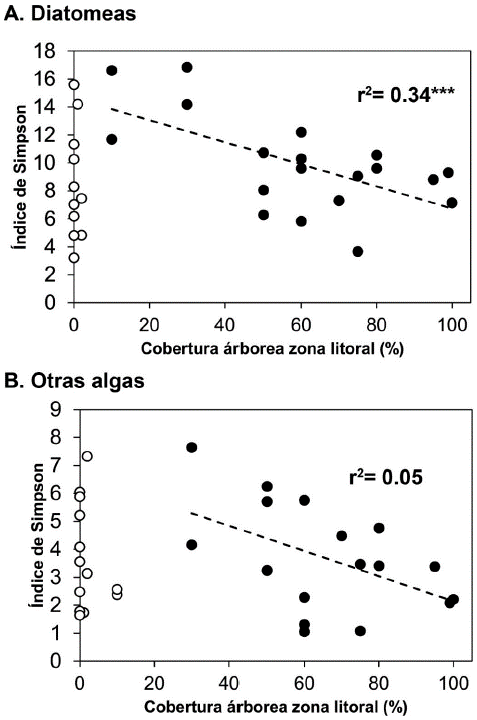 Relación del índice dominancia de Simpson y la cobertura de la zona litoral. Se presenta una regresión con coberturas >10 % para diatomeas (A) y >30 % para las otras algas (B).