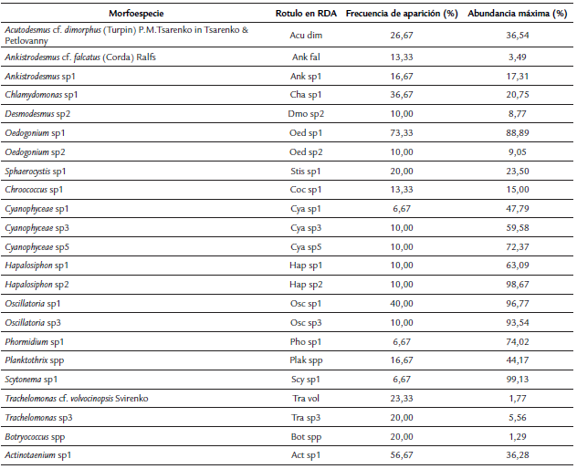 Descripción general de las morfoespecies encontradas y rótulos usados en los análisis multivariados