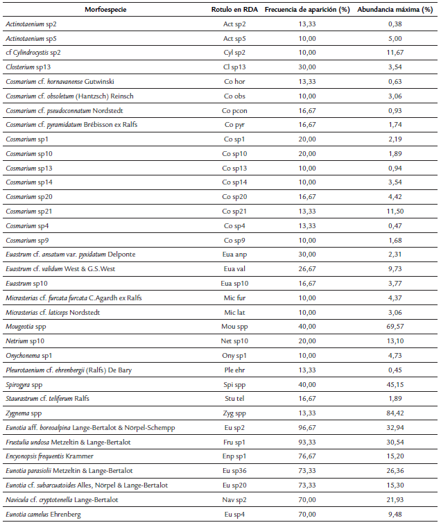 Descripción general de las morfoespecies encontradas y rótulos usados en los análisis multivariados