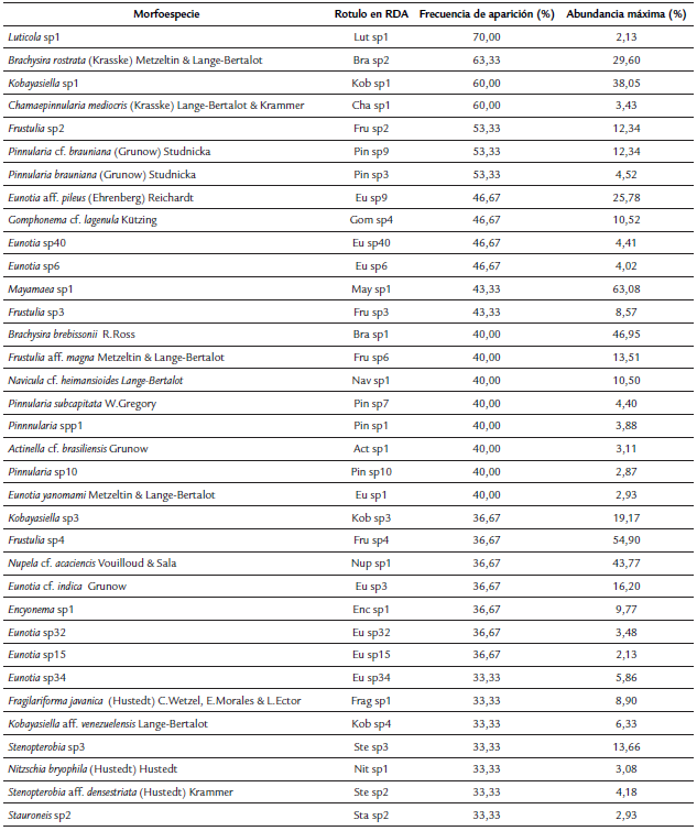 Descripción general de las morfoespecies encontradas y rótulos usados en los análisis multivariados