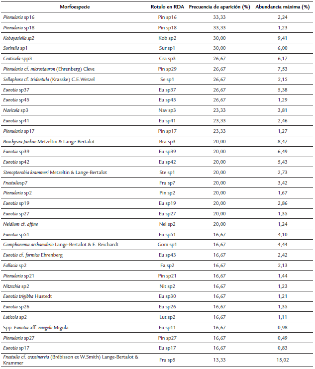 Descripción general de las morfoespecies encontradas y rótulos usados en los análisis multivariados