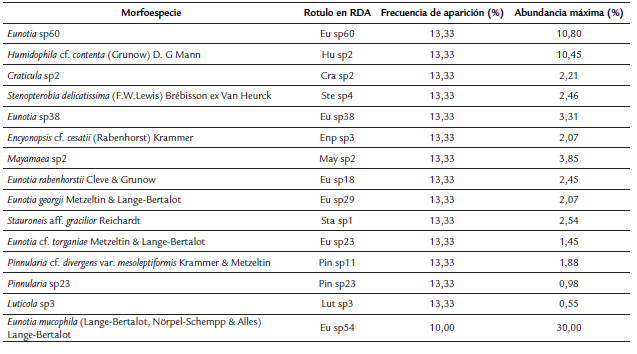 Descripción general de las morfoespecies encontradas y rótulos usados en los análisis multivariados