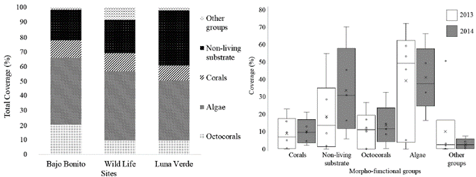 Cover percentages ofthe most abundant morpho-functional categories in the leeward reefs ofthe island of San Andrés by years (right) and sampling sites (left). White box= 2013, Grey box= 2014; Other groups = invertebrates, sea grasses and others.