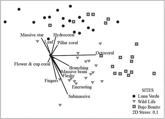 Bray-Curtis based non-metric multidimensional scaling (nMDS) of the benthic reef organisms at the three sampling sites. The relative contribution of the morpho-functional categories of corals to the variation in the structure by sites using Spearman correlation.