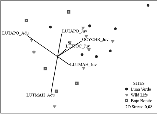 Bray-Curtis based non-metric multidimensional scaling (nMDS) of benthic morpho-functional cover in the leeward reefs of the San Andrés Island. The relative contribution of the Lutjanids found by size to the variation of the structure of the benthic community with Spearman correlation was included. Species and sizes of the Lutjanids: LUTAPO = Lutjanus apodus, LUTJOC = Lutjanus jocu, LUTMAH = Lutjanus mahogoni, OCYCHR = Ocyurus chrysurus; Adu = Adult, Juv = Juvenile.