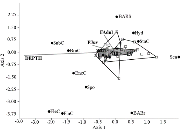 Canonical correspondence analysis (CC) with the first two axes for the categories of benthic organisms, inert substrates, and environmental variables. CC 1: 91.3 % (p <0.03), CC 2: 7.6 % (p <0.6). Fjuv = juvenile fish and Fadul = adult fish.
