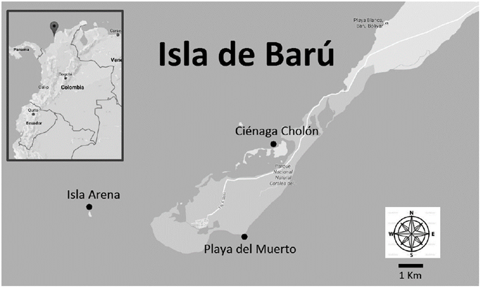 Sampling sites on Isla de Bar&uacute;: Ci&eacute;naga Chol&oacute;n, Isla Arena and Playa del Muerto.