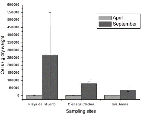 Total cell densities of epiphytic diatoms in Playa del Muerto, Ci&eacute;naga Chol&oacute;n and Isla Arena (cells / g dry weight) in both months. The error bars represent the 95% confidence interval.