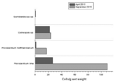 Relationship between the abundance of dinoflagellate species on Isla de Bar&uacute; and the ONI index.