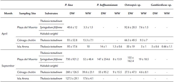 Averages and standard deviation of the density of dinoflagellate species in different months, sampling sites and substrates, on Isla de Bar&uacute; during 2015.