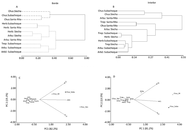 Dendrogramas de similitud de las zonas de borde (A) e interior de parche (B). An&aacute;lisis de componentes principales usando atributos de la vegetaci&oacute;n de las zonas de borde (C) e interior de parche (D). Hay evidencia de similitud en entre las zonas de borde de las localidades de muestreo las cuales muestran un agrupamiento por la presencia de Chusquea sp., (l&iacute;neas discontinuas) y de elementos herb&aacute;ceos, arbustivos, arb&oacute;reos y trepadores (l&iacute;neas punteadas) (A). La ordenaci&oacute;n de la zona de borde (C), muestra el mismo patr&oacute;n, ubicando al Chusque como el principal factor de ordenaci&oacute;n. En las zonas de interior de parche no hay evidencia de similitud u ordenaci&oacute;n (B y D)