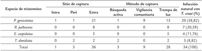 Abundancia de especies de triatominos por ambiente, tipo de captura y tasas de infección natural por T. cruzi.