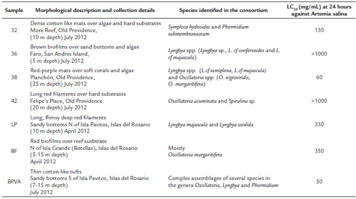 Description, collection details, taxonomical identity and toxicity assessment against Artemia salina nauplii of the cyanobacterial consortia evaluated in this study. Species identification was performed before the thorough taxonomical revisions of tropical benthic cyanobacteria and were based on macroscopical features and microscopical analyses of the most common cyanobacteria in the consortia.