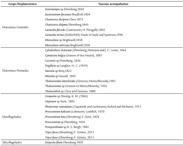 Elenco sistem&aacute;tico acompa&ntilde;ante de Pronoctiluca spinifera en aguas del Caribe colombiano.
