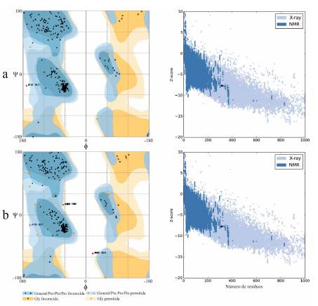 An&aacute;lisis de la calidad de las estructuras tridimensionales predecidas de las prote&iacute;nas αACCasa de Chlorella sp. (a) y Scenedesmus sp. (b) con los plots de Ramachandran y ProSA-web. Los patrones de distribuci&oacute;n de los enlaces pept&iacute;dicos de los amino&aacute;cidos y el Z-score obtenidos por las αACCasa de ambas microalgas est&aacute; de acuerdo con los patrones comunmente encontrados en las prote&iacute;nas cuyas estructuras 3D han sido determinadas mediante cristalograf&iacute;a de rayos X y resonancia magn&eacute;tica nuclear.