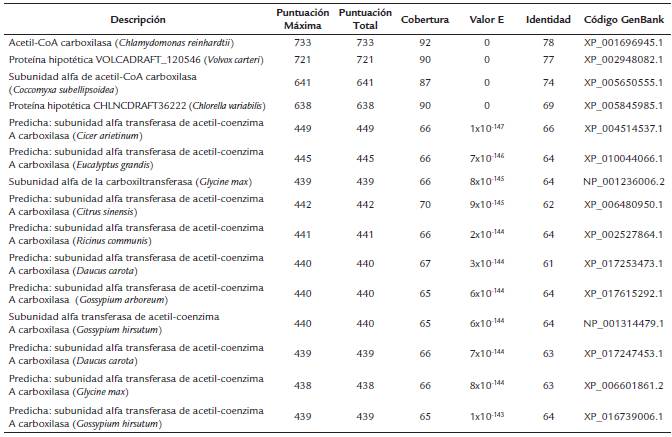 Resultados del an&aacute;lisis Blastp para la secuencia aminoac&iacute;dica de la αACCasa de Chlorella sp.