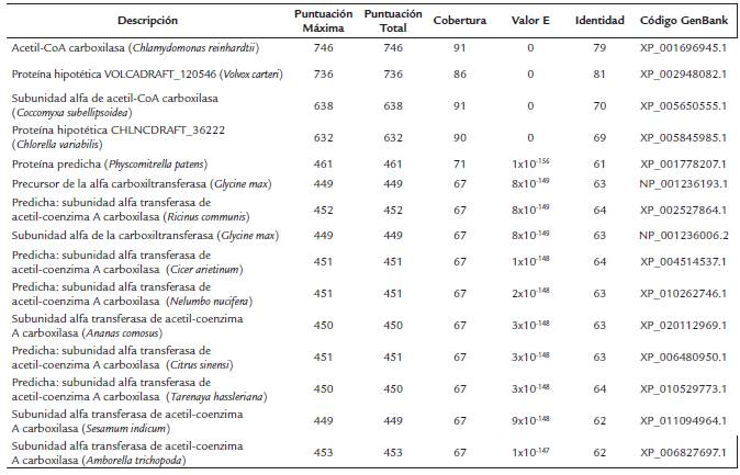 Resultados del an&aacute;lisis Blastp para la secuencia aminoac&iacute;dica de la αACCasa de Scenedesmus sp.