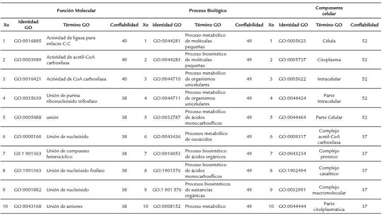 Ontolog&iacute;a gen&eacute;tica de la αACCasa de Chlorella sp.