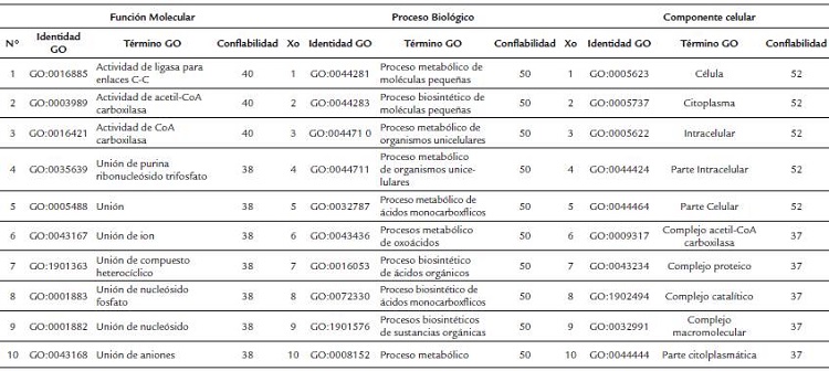 Ontolog&iacute;a gen&eacute;tica de la αACCasa de Scenedesmus sp.