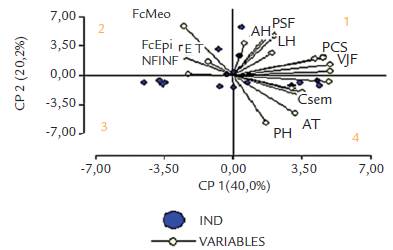 Distribuci&oacute;n de las variables morfo-agron&oacute;micas analizadas de los materiales de lulo colectados en el municipio de Pachavita- Boyac&aacute;.