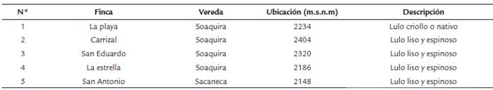 Sitios de colecta de los materiales de lulo evaluados.