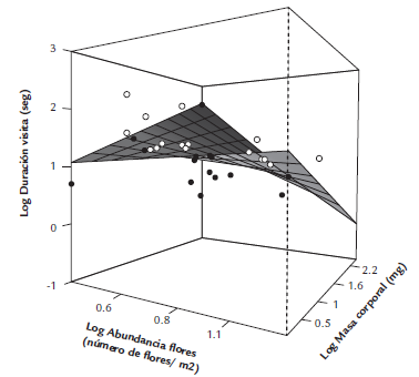 Relaci&oacute;n entre la abundancia de las flores, la masa corporal de los polinizadores y la duraci&oacute;n de la visita de los himen&oacute;pteros de la red de polinizadores del agroecosistema de Los Andes, Valle del Cauca, Colombia. Los valores representados en los ejes corresponden al logaritmo base 10 de los valores reales. Los valores mayores a la predicci&oacute;n del modelo se muestran en color blanco y los valores menores en color negro.