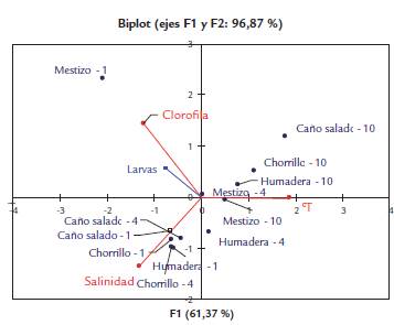 Análisis de componentes principales de Crassostrea rhizophorae larvas L-1, salinidad, temperatura y valores de clorofila de cada estación para enero, abril y octubre de 2015 en la bahía de Cispatá, Colombia.