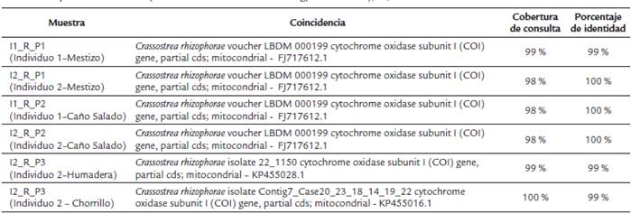 Resultados del BLASTN con la base nr/nt del NCBI de Crassostrea rhizophorae de Bahía Cispatá, Colombia. nr: base de datos de proteínas del NCBI (National Center for Biotechnology Information); nt; base de datos de nucleótidos del NCBI.