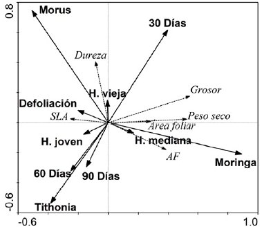 An�lisis de redundancia (RDA) de las relaciones entre las caracter�sticas foliares asociadas a edad de la planta, edad de las hojas, las especies forrajeras estudiadas y la defoliaci�n (%).