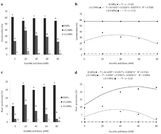 Germination (a, b) and root protrusion (c, d) of marandu grass seeds subjected to different osmotic potentials and exogenous application of ascorbic acid doses. Bars with the same letters, for each dose, do not differ statistically, by Tukey's test (p<0.05). (*) significant at 5% probability by the "t" test.