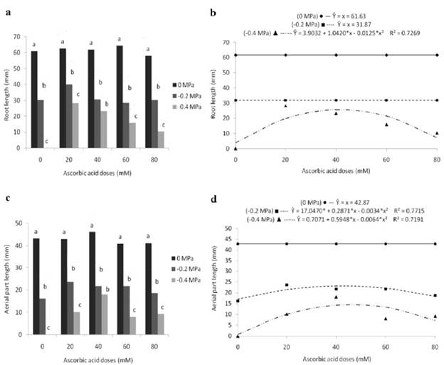Root length (a, b) and aerial part length (c, d) of marandu grass seedlings from seeds subjected to different osmotic potentials and exogenous application of ascorbic acid doses. Bars with the same letters, for each dose, do not differ statistically, by Tukey's test (p<0.05). (*) significant at 5% probability by the "t" test.