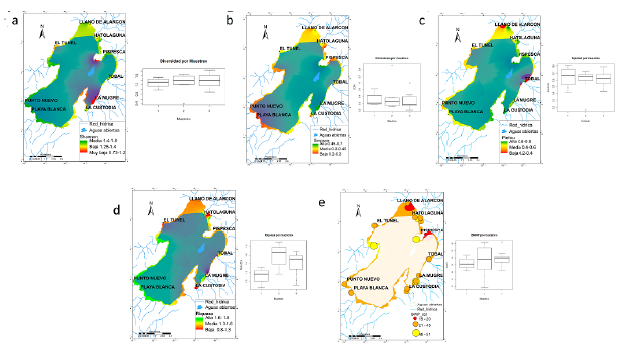 Comportamiento espacio-temporal de los ndices biticos en el litoral del Lago de Tota. (a) Diversidad de Shannon; (b) Dominancia de Simpson; (c) Equidad de Pielou; (d) Riqueza de Margalef; (e) BMWP.