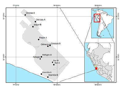 Ubicaci�n de las estaciones de muestreo en el Refugio de Vida Silvestre Los Pantanos de Villa.